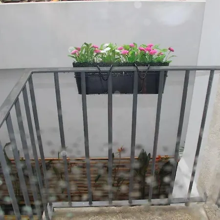Apartment Flower 45 @ Rua Flores *